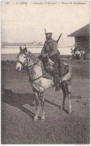 ALGERIE  CHASSEUR D´AFRIQUE