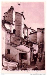 Constantine. Rue Perregaux. Nids de cigognes.