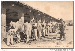 ALGERIE- ref no 496- constantine -quartier du mansourah ,3e chasseurs d afrique -le pansage -nd phot -militaires