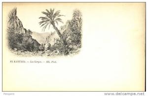 AK ALGERIEN  ALGER  EL KANTARA OLD POSTCARD PRE  1904