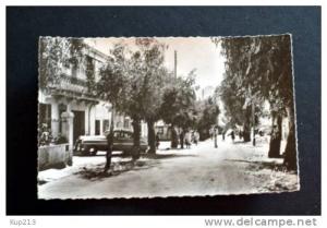 TAZMALT RUE PRINCIPALE N° 10