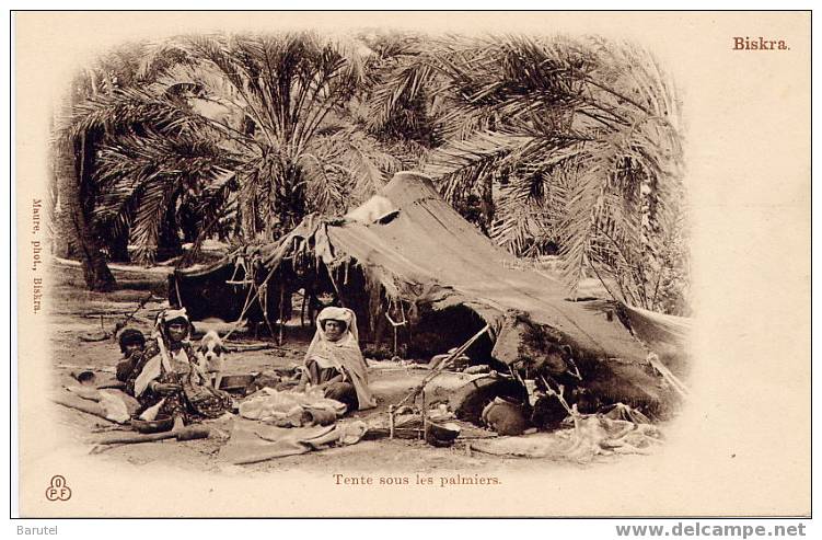 BISKRA (Algérie) - Tente sous les palmiers