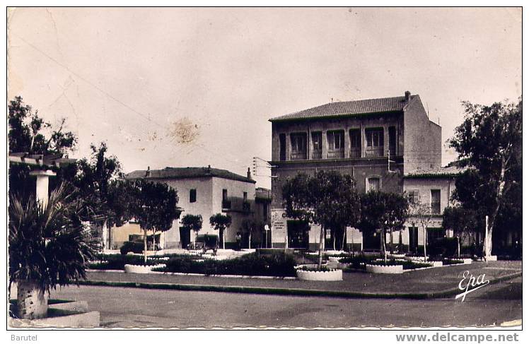 BISKRA (Algérie) - La Nouvelle Place