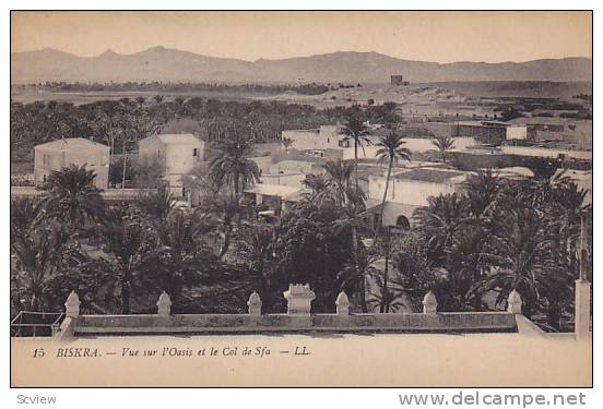 Vue Sur l'Oasis Et Le Col De Sfa, Biskra, Algeria, Africa, 1900-1910s
