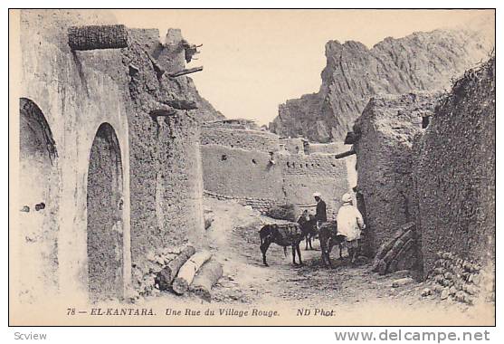 EL KANTARA, Une Rue du Village Rouge, Donkeys, Biskra, Algeria, 00-10s