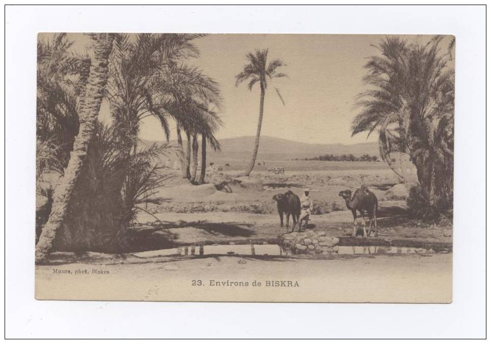 ALG.3   ALGERIE   BISKRA   Les Environs