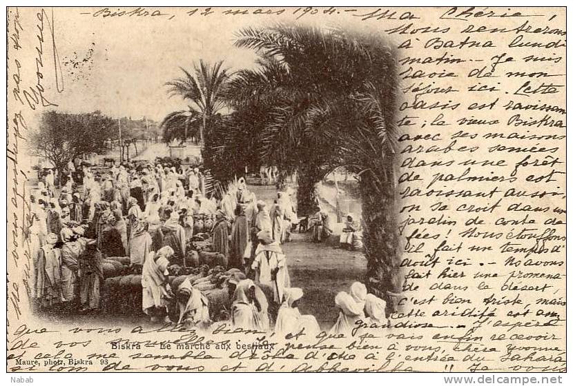 NK-BI 001-Algérie-Biskra-Le Marché aux Bestiaux-Trés Animé-