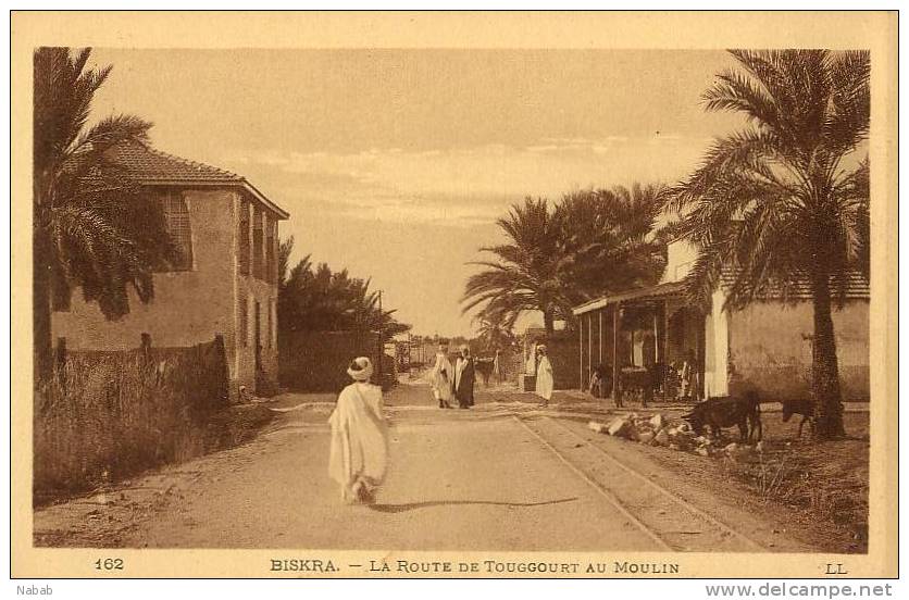 NK-BI 020-Algérie-Biskra-La Route de Touggourt au Moulin-L.L.-