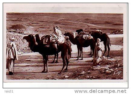 Algérie  - Z752 - Biskra - Halte au Col de Sfa - bon  état - semi moderne petit format