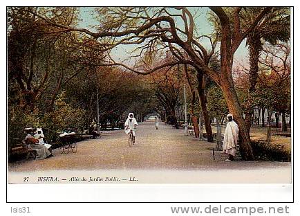 Algérie  - Z754 - Biskra - Allée du Jardin Public - bon  état