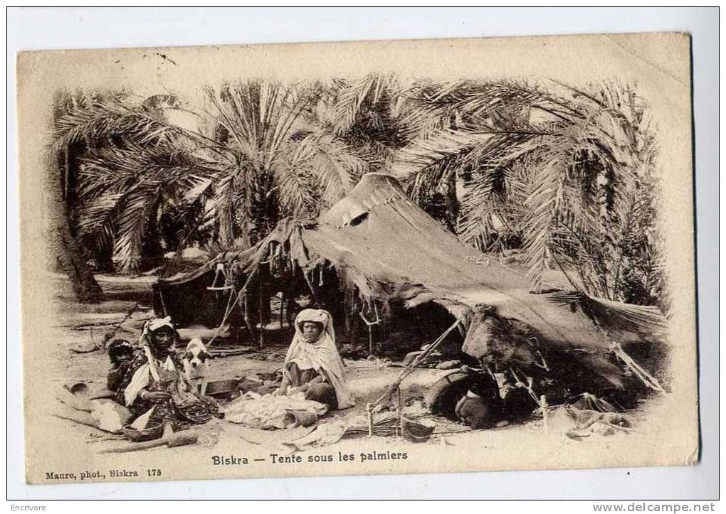 cpa BISKRA tente sous les palmiers - maure photo 175