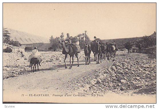 EL-KANTARA , Algeria , Passage d'une Caravane, 00-10s