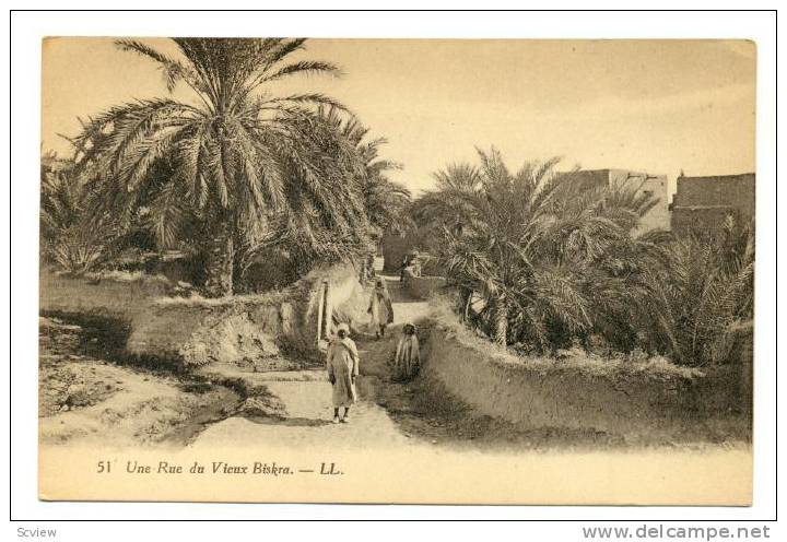 BISKRA, Algeria, 00-10s ; Une rue du Vieux Biskra