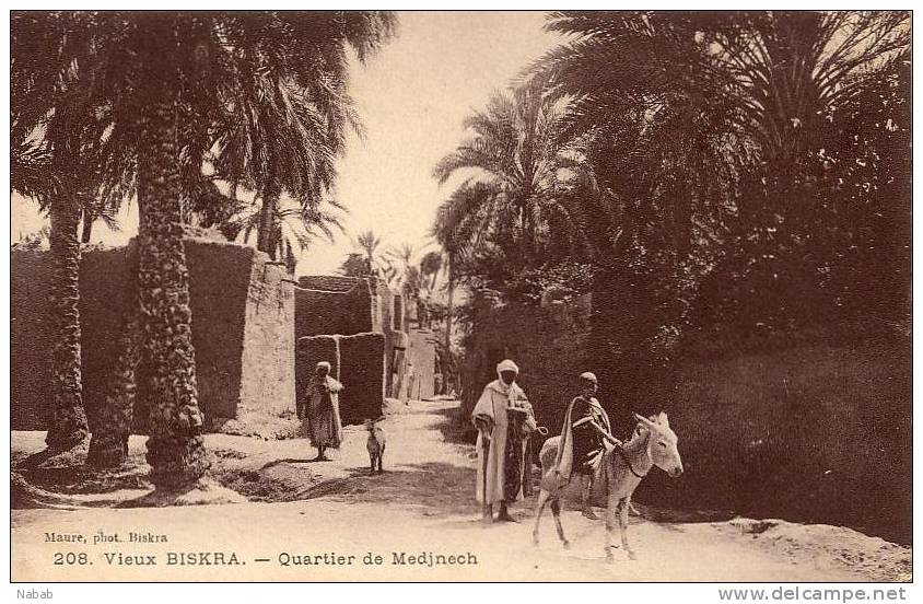 NK-BI 028-Algérie-Biskra-Quarti er de Medjnech-