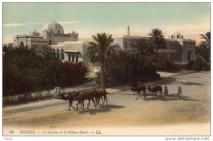 NK-BI 029-Algérie-Biskra-Le Casino et le Palace Hôtel-superbe troupeau chameau