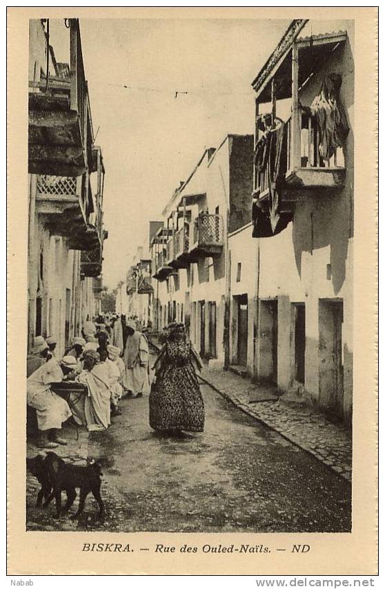 NK-BI 033-Algérie-Biskra-Rue des Ouled-Naïls-N.D-