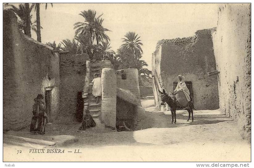 NK-BI 037-Algérie-Biskra-Le Vieux Biskra-L.L.