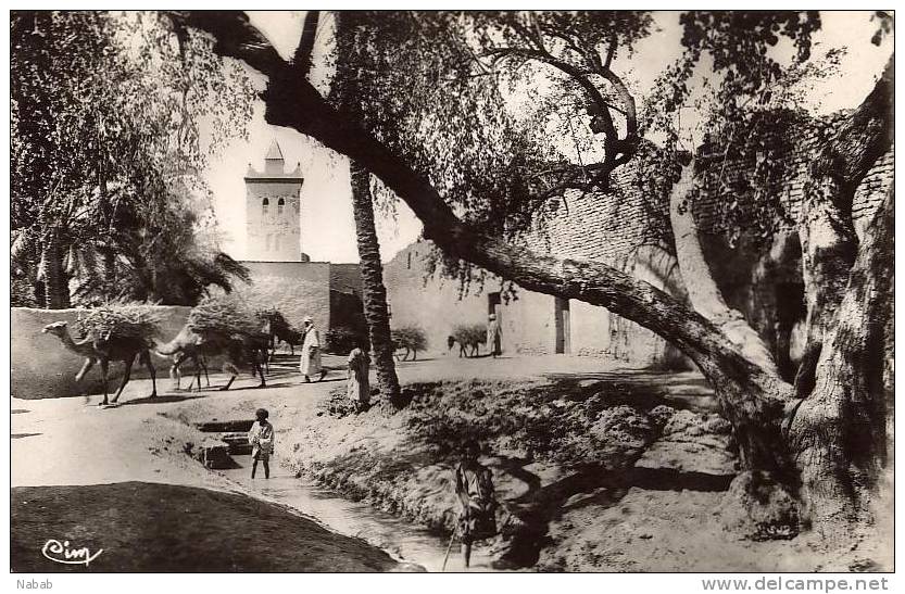 NK-BI 044-Algérie-Biskra-La Mosquée Bab-Darb-CIM-