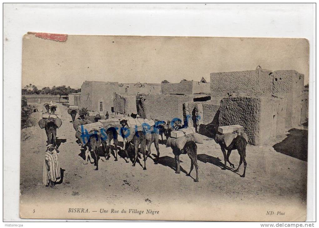AFRIQUE -  ALGERIE - BISKRA - UNE RUE DU VILLAGE NEGRE
