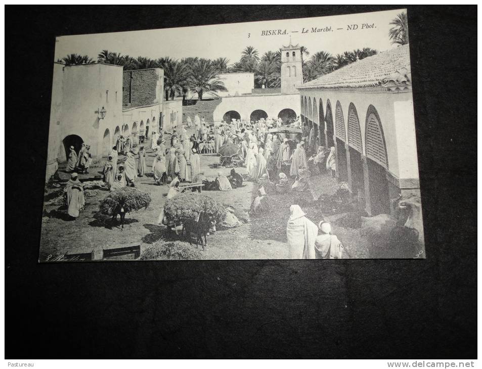 Algérie .Biskra. . Le Marché.