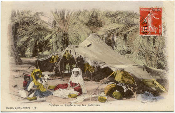 BISKRA- Tente sous les Palmiers