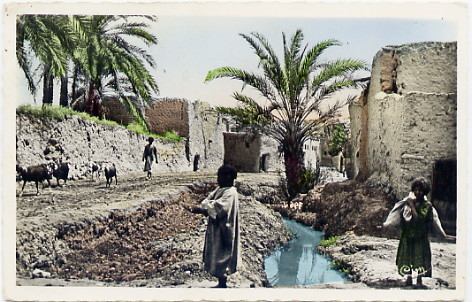 BISKRA - Vieille ville - Enfants et animaux