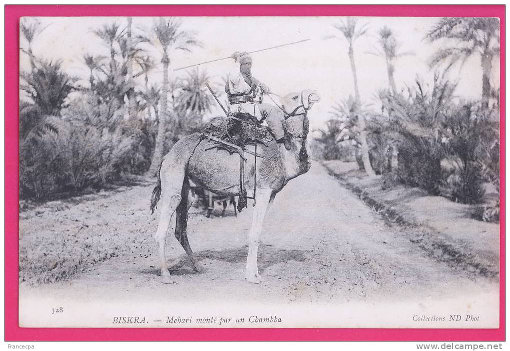 1267 - ALGERIE -   BISKRA   Méhari monté par un Chambba