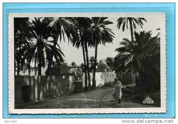 B - ALGERIE - vieux BISKRA