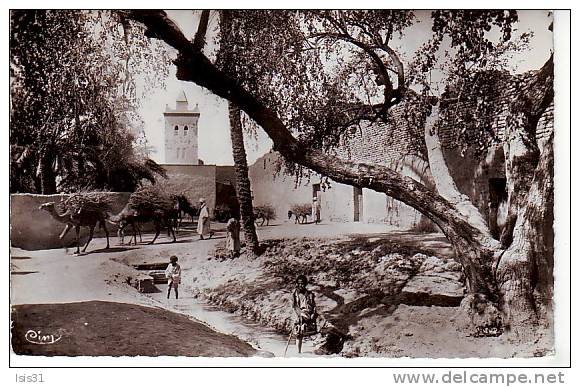 Algérie  - Z738 - Biskra - Mosquée à Bab-Darb - semi moderne petit format - bon état général