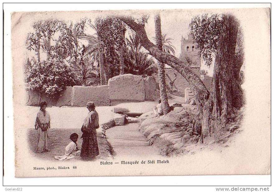 BISKRA  -  Mosquée  de  Sidi  Malek