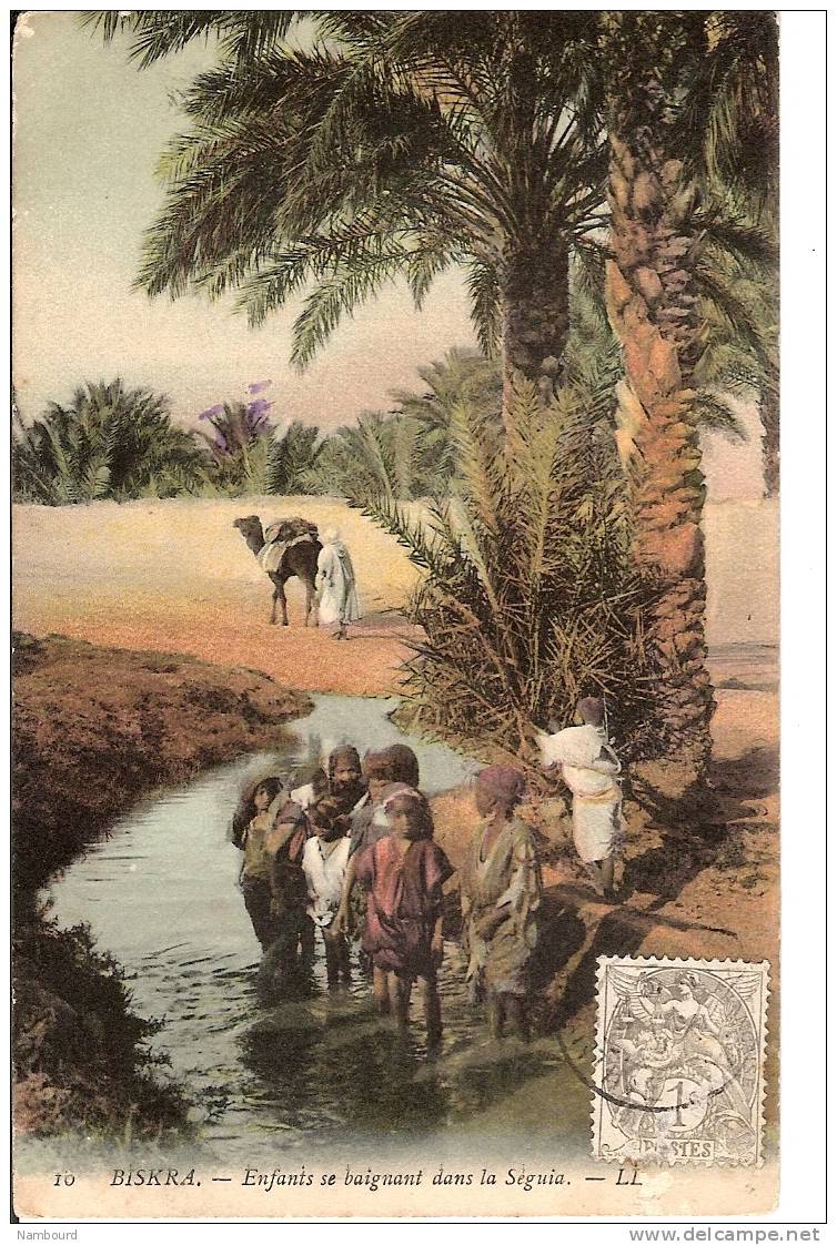 Biskra enfants se baignant dans la Séguia