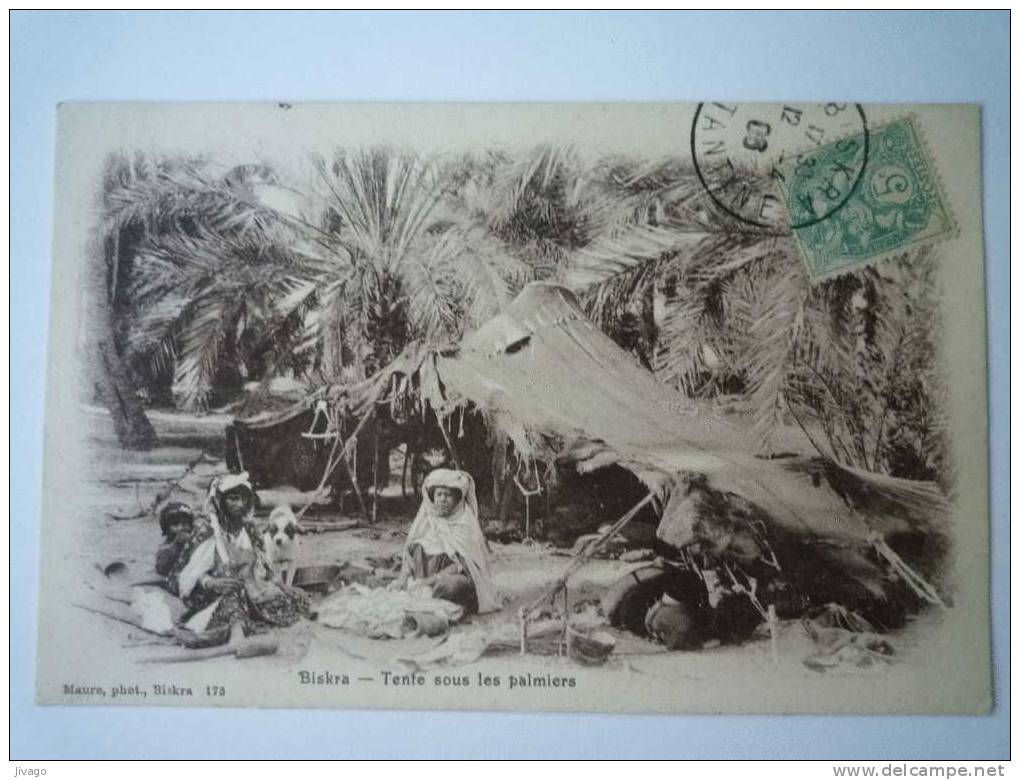 BISKRA    TENTE  sous les  PALMIERS  -  Carte animée