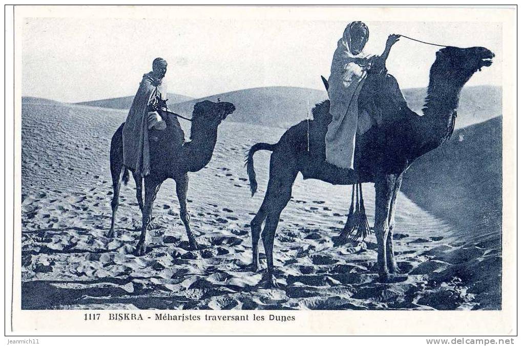 1117. BISKRA - Méharistes traversant les Dunes