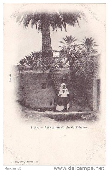 ALGERIE.BISKRA.FABRICATIO N DU VIN DE PALMIERS  editeur maure