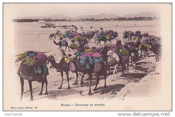 ALGERIE.BISKRA.CARAVANE EN MARCHE  editeur maure