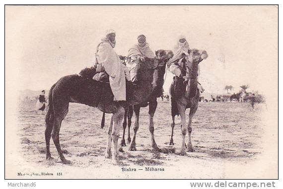 ALGERIE.BISKRA.MEHARAS editeur maure