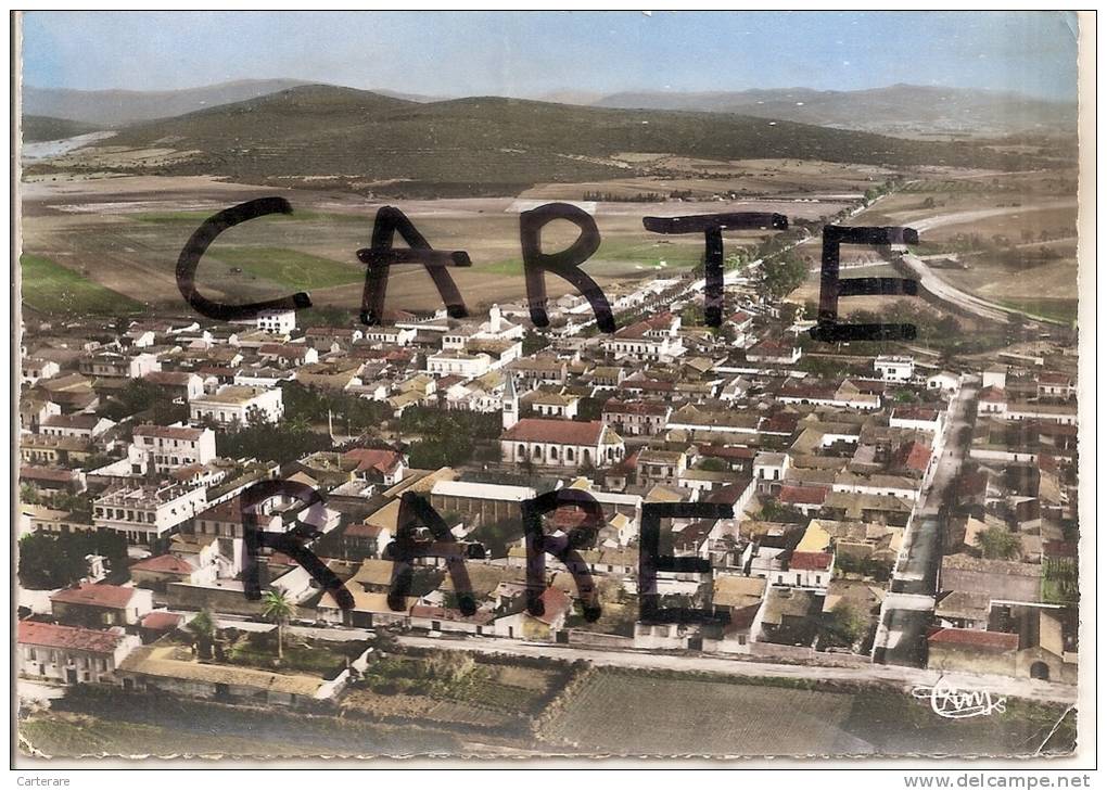 algérie - jemmapes ( constantine) vue générale , rare