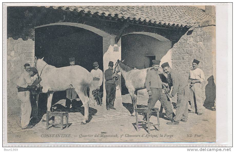 ALGERIE **  CONSTANTINE  quartier du mansourab 3 em chasseurs d afrique , la forge . maréchal ferrant  . N°163 .
