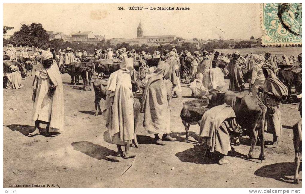 24  -  Setif ( Constantine )  -  Le marché Arabe
