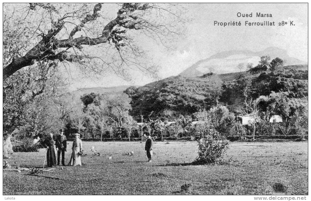 CPA   OUED MARSA - Propriété Ferrouillat 28e K. - propriété viticole