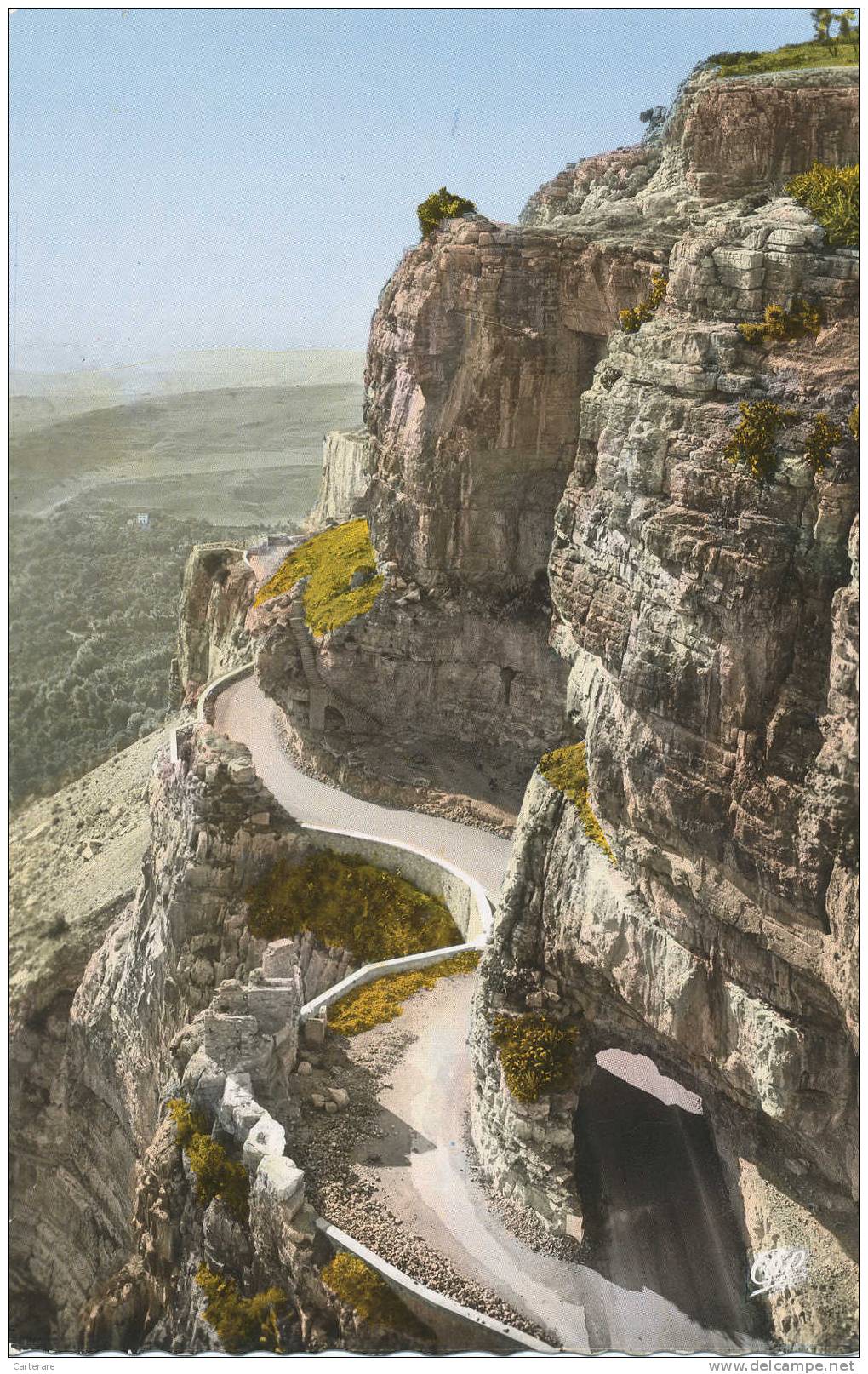 afrique,algérie,constanti ne,route de la corniche du rhumel,gorge de tous les dangers,wilaya,cirta,real   photo,rare