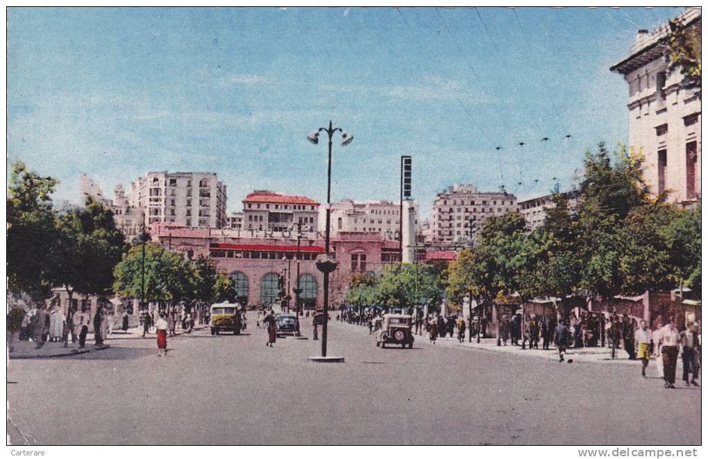 AFRIQUE,AFRICA,Algérie Française,ALGERIA,CONSTAN TINE,AVENUE LIAGRE,CARTE ANIMEE,grand lampadaire,électricité