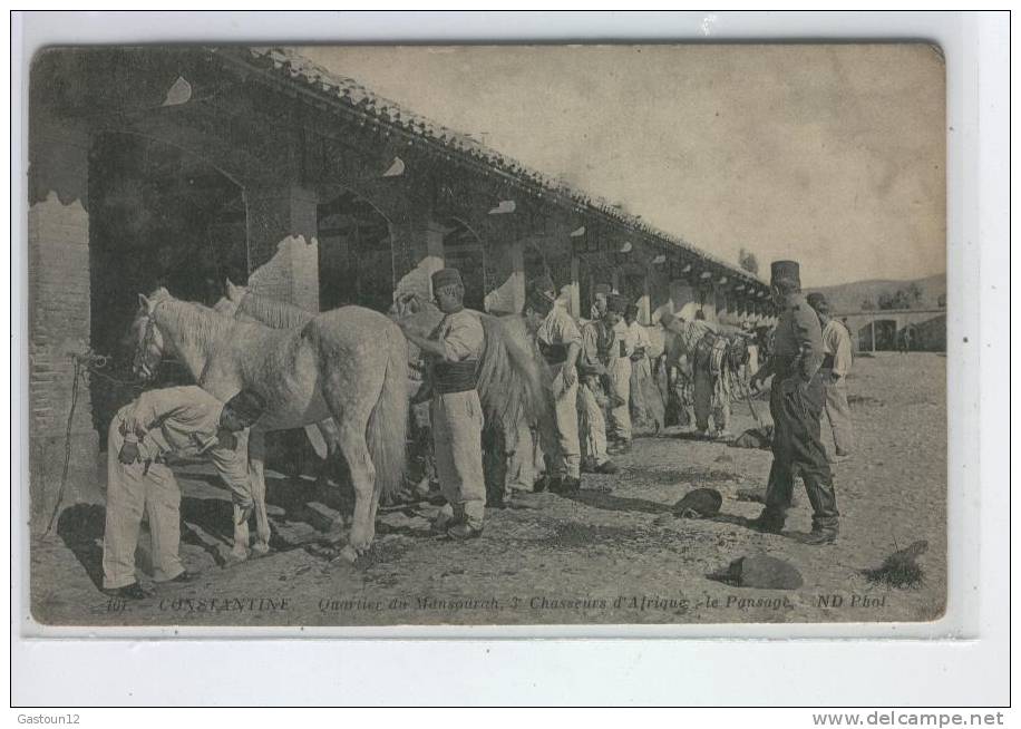 ALGERIE    CONSTANTINE     chasseurs d'afrique, le pansage