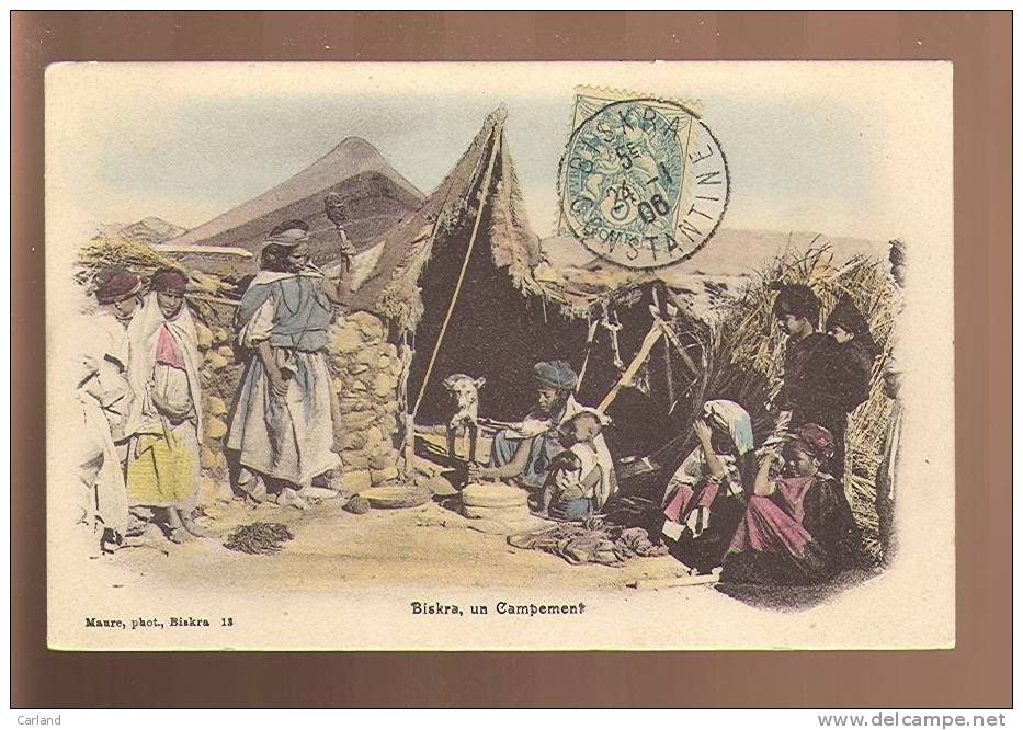 Algerië   Biskra , un campement des nomades