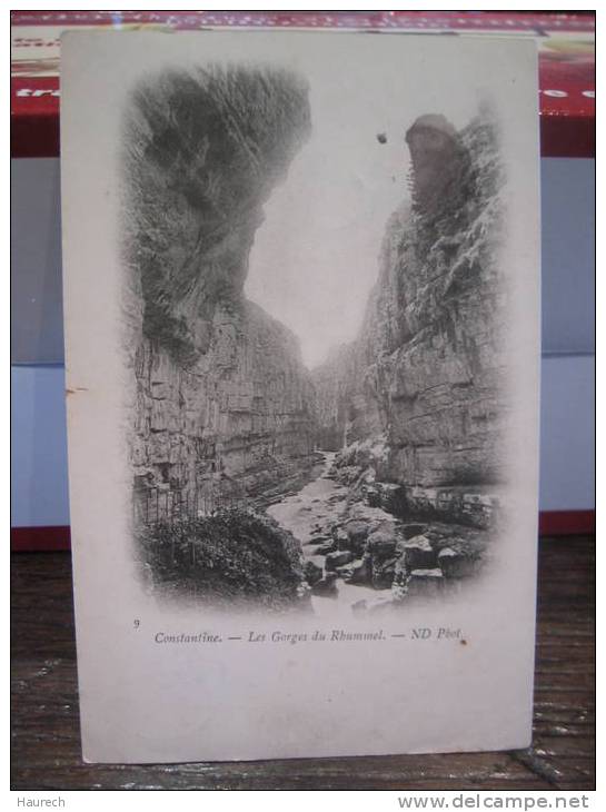 Constantine. Les gorges du Rhummel. n°9