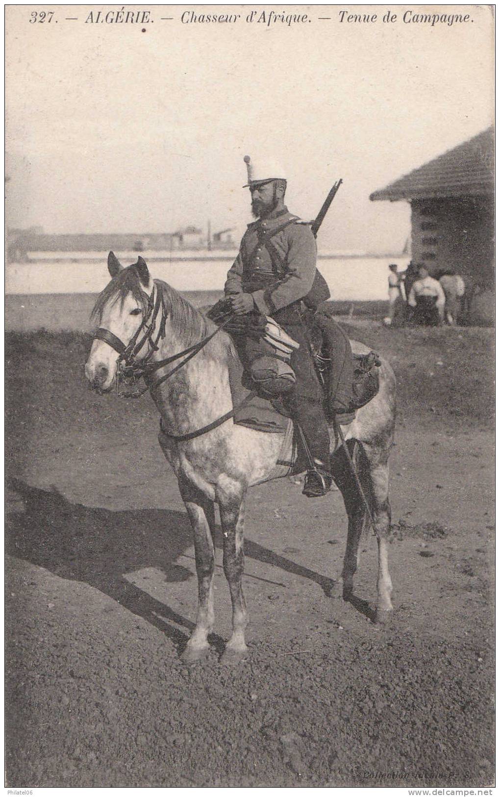 ALGERIE  CHASSEUR D´AFRIQUE