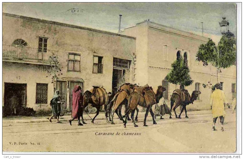 CPA AFRIQUE DU NORD CARAVANE DE CHAMEAUX