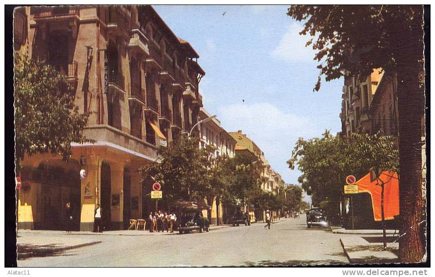SETIF   -   ( Contantinois )    Avenue Georges Clémenceau