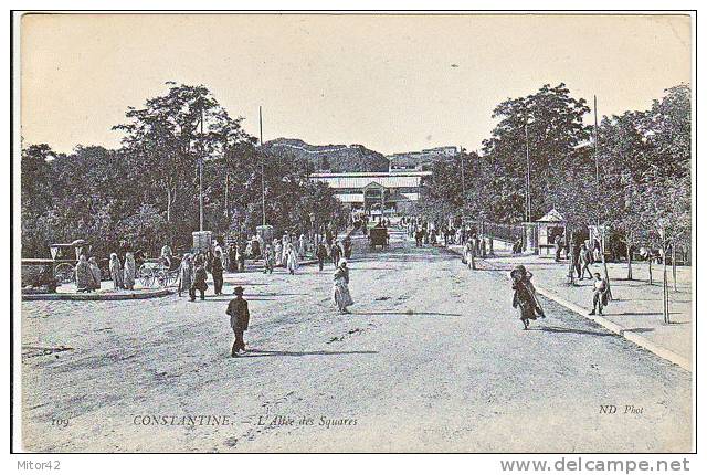 15-Costantine-Algerie Francaise-L'Allée des Squares-Animé-v.1906 x Paris-Timbre 5c. France.