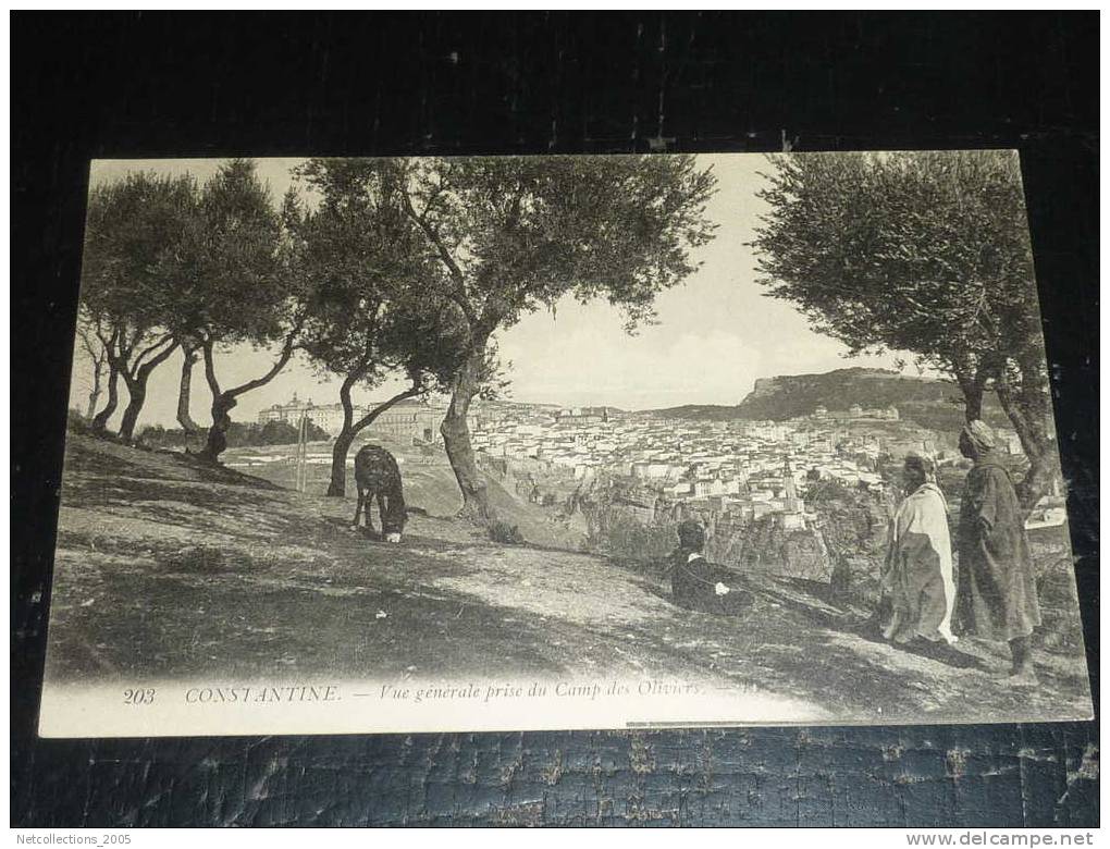 CONSTANTINE - VUE GENERALE PRISE DU CAMP DES OLIVIERS - AFRIQUE ALGERIE